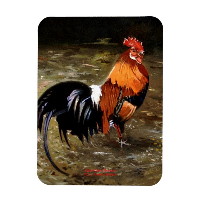 Imán Gallo/Galo/Rooster (Vertical)