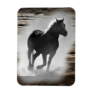 Imán Gallopaje de caballos salvajes