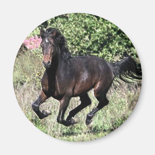 Imán Galloping Chestnut Horse (Frente)