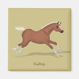 Imán Galloping Sorrel Foal Gaits of the Horse