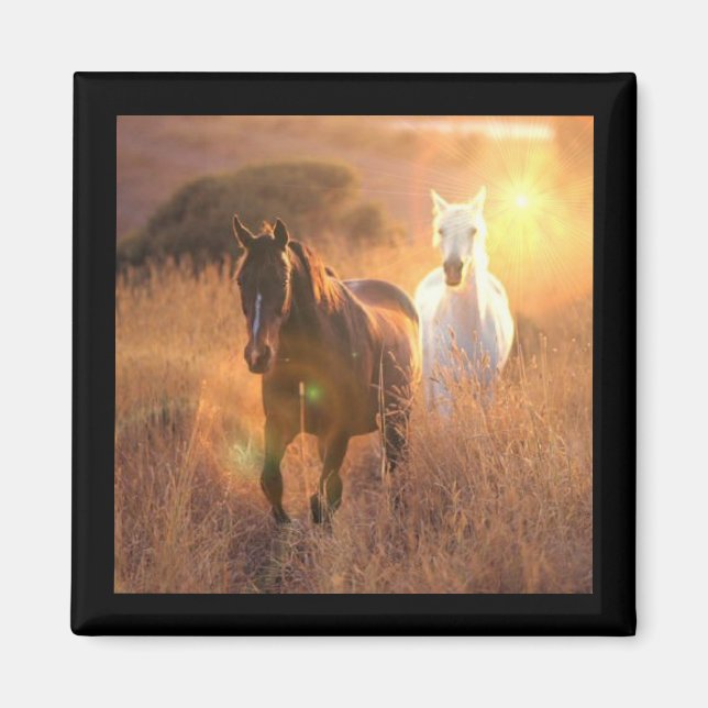 Imán Galloping Wild Horses Square Magnet (Frente)