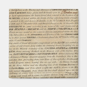 Imán Galveston Bay y Texas Land Company