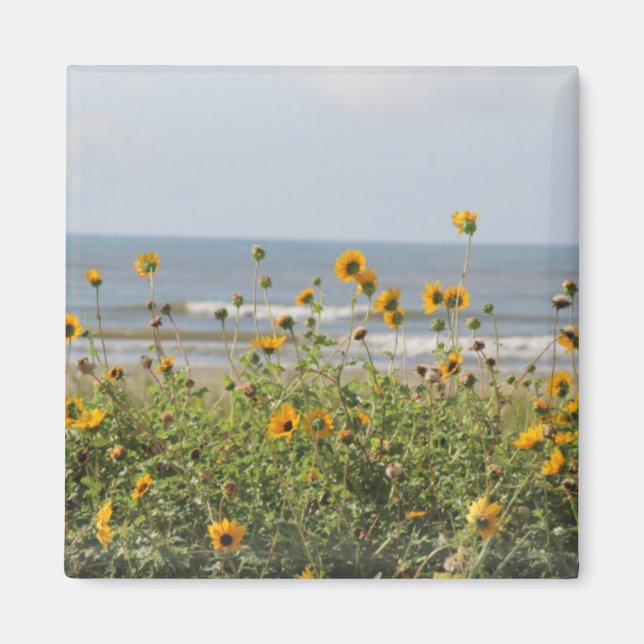 Imán Galveston Island Beach Flowers Magnet (Frente)