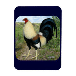 Imán Gamecock de carretera de campo