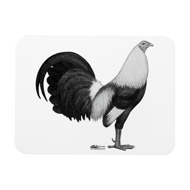 Imán Gamecock Gray Ducking (Horizontal)
