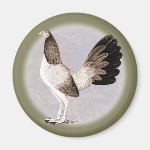 Imán Gamecock: Hennie