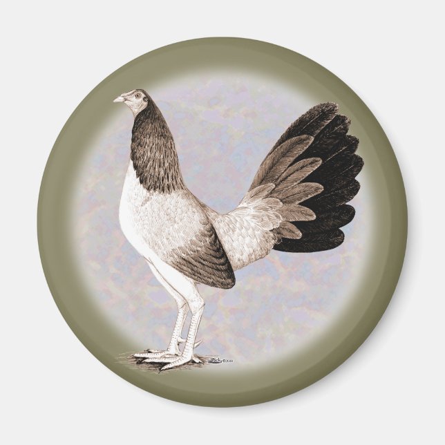 Imán Gamecock: Hennie (Frente)