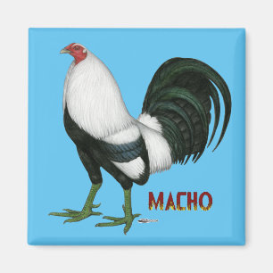 Imán Gamecock Macho Duckwing