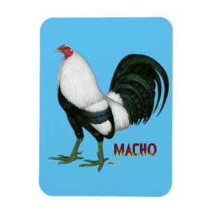 Imán Gamecock Macho Duckwing