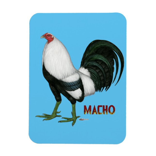 Imán Gamecock Macho Duckwing (Vertical)