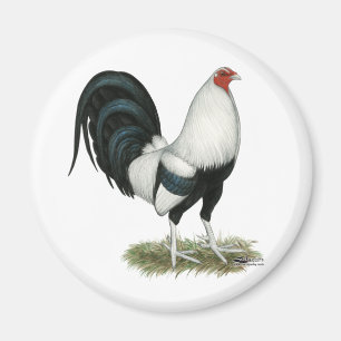 Imán Gamecock plateado