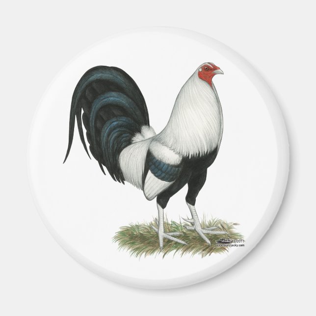 Imán Gamecock plateado (Frente)