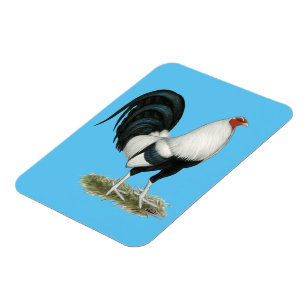 Imán Gamecock plateado