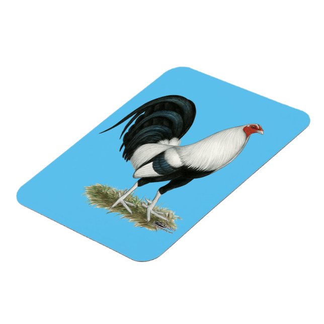 Imán Gamecock plateado (Lado Izquierdo)