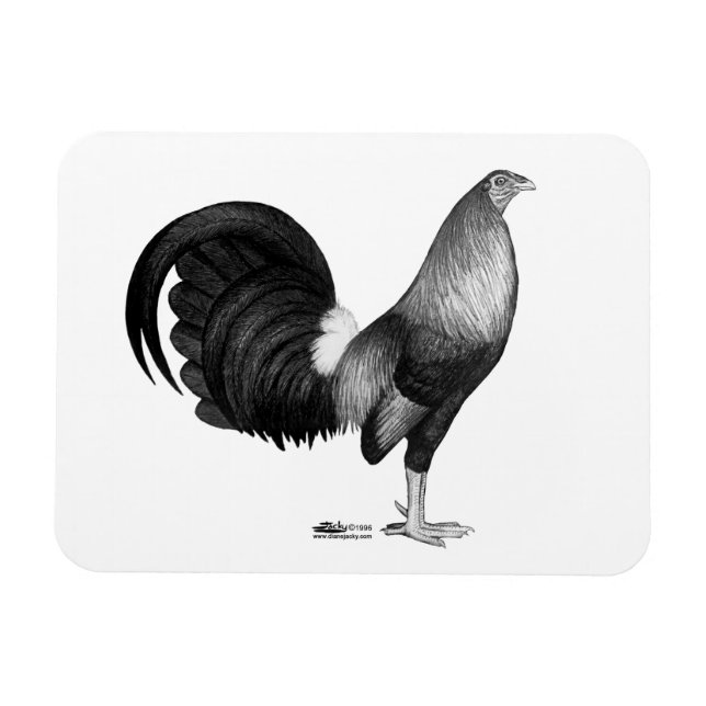 Imán Gamecock Red Hatch (Horizontal)