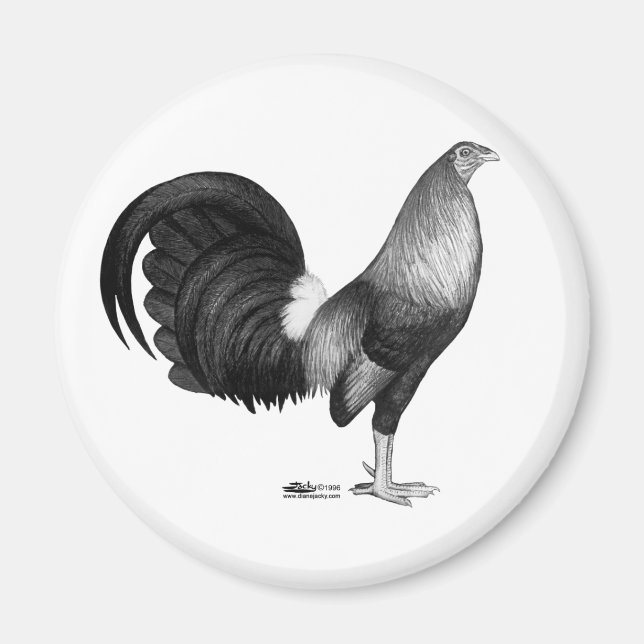 Imán Gamecock Red Hatch (Frente)