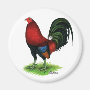 Imán Gamecock: rojo oscuro