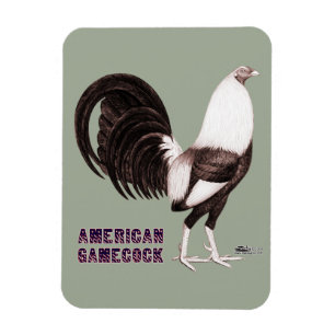 Imán Gamecock Sepia