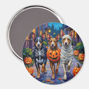 Imán Ganado Australiano Pidiendo Dulces en Halloween
