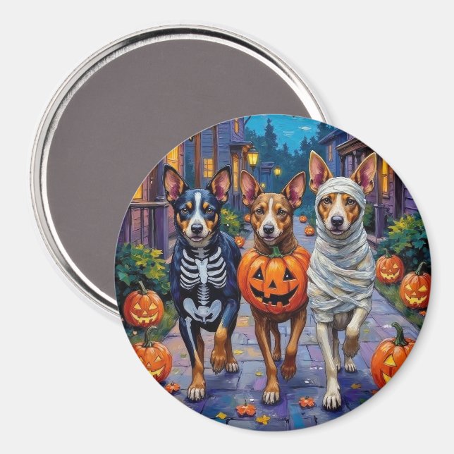Imán Ganado Australiano Pidiendo Dulces en Halloween (Anverso/Reverso)