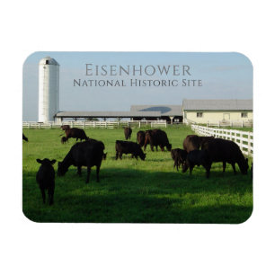 Imán Ganado de Angus Grazing, Granja Eisenhower, Gettys
