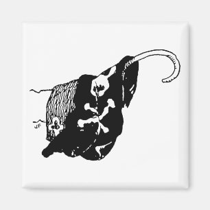 Imán Gancho del pirata