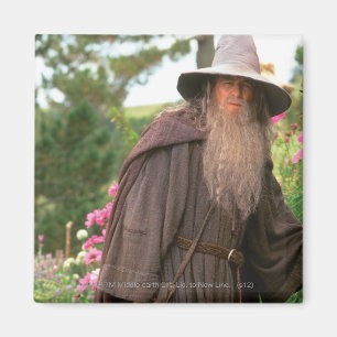 Imán GANDALF™ con el gorra