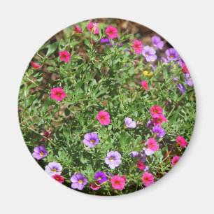 Imán Garden Petunia Magnet