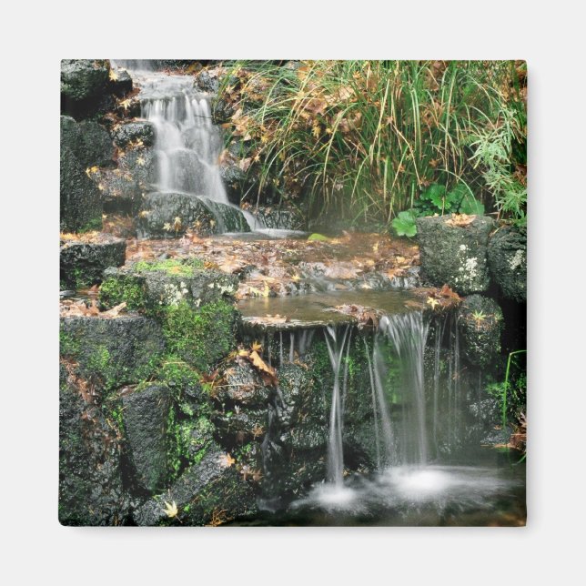 Imán Gardent Delight Magnet (Frente)