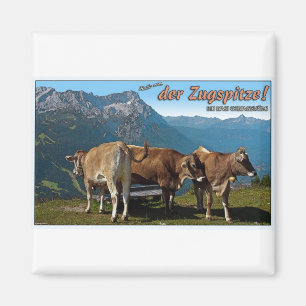 Imán ¡Garmisch - hola del Zugspitze!