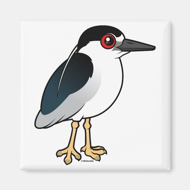 Imán Garza nocturna coronada de negro (Frente)