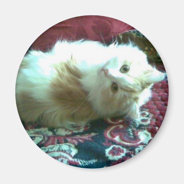 Imán gatito (Frente)