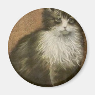 Imán Gatito
