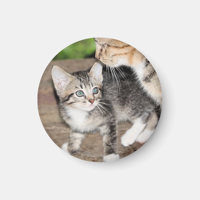 Imán Gatito (Frente)