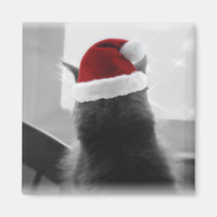 Imán Gatito adorable del navidad