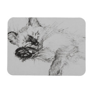 Imán Gatito 'Baby