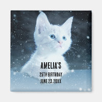Gatito blanco lindo con ojos azules de Bonito