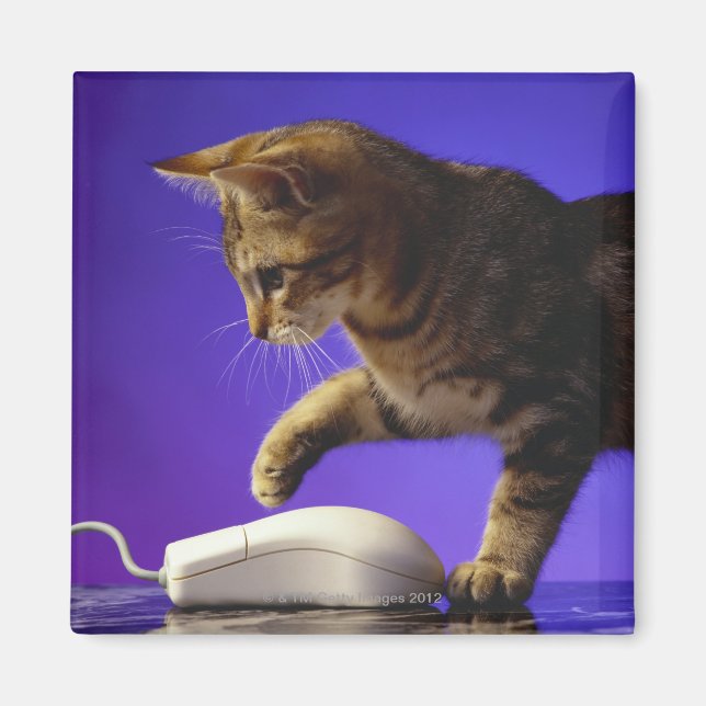 Imán Gatito con ratón de ordenador (Frente)