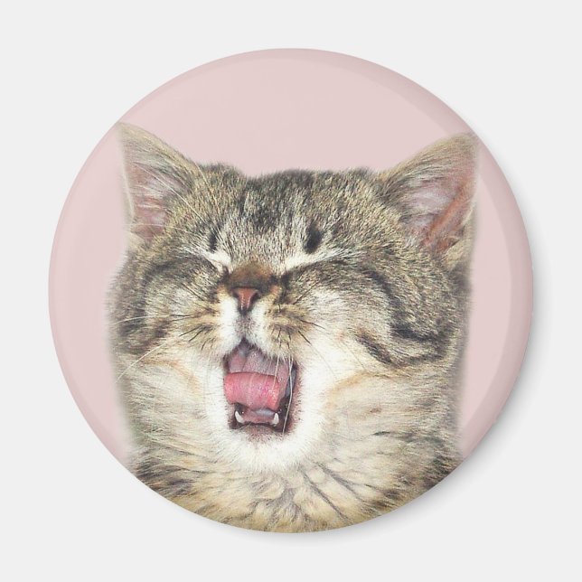 Imán Gatito de boquilla abierta (Frente)