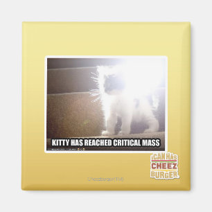 Imán Gatito de la masa crítica