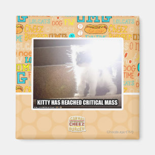Imán Gatito de la masa crítica