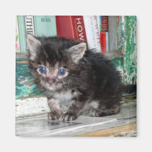 Imán Gatito del bebé