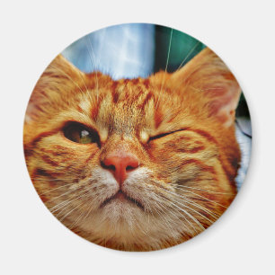 Imán Gatito del guiño