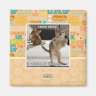 Imán Gatito del rapaz