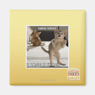 Imán Gatito del rapaz