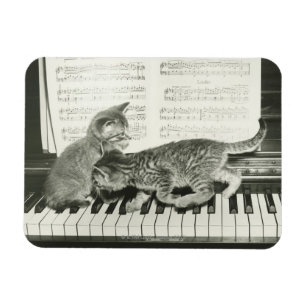 Imán Gatito dos que juega en el teclado de piano, (B&W)
