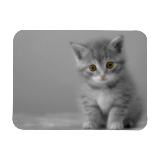 Imán Gatito dulce (Horizontal)