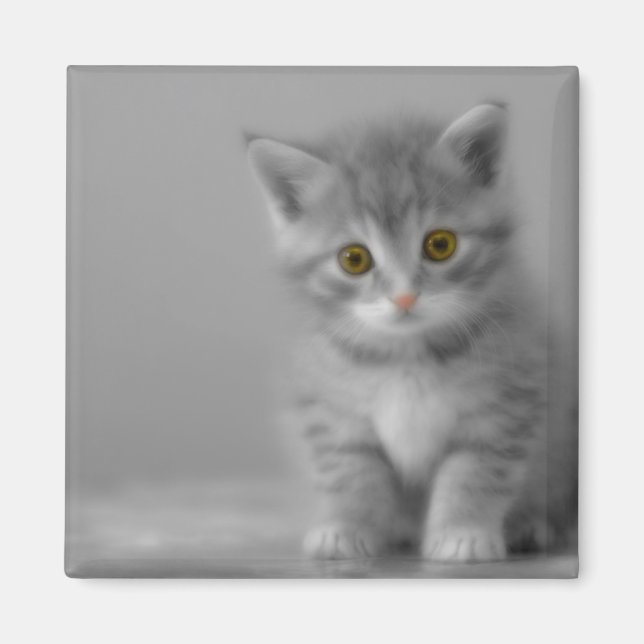 Imán Gatito dulce (Frente)
