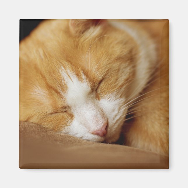 Imán Gatito durmiente (Frente)