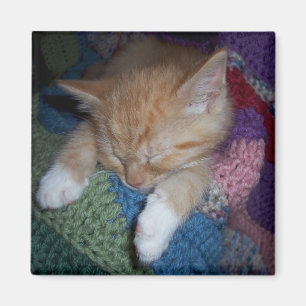 Imán Gatito el dormir